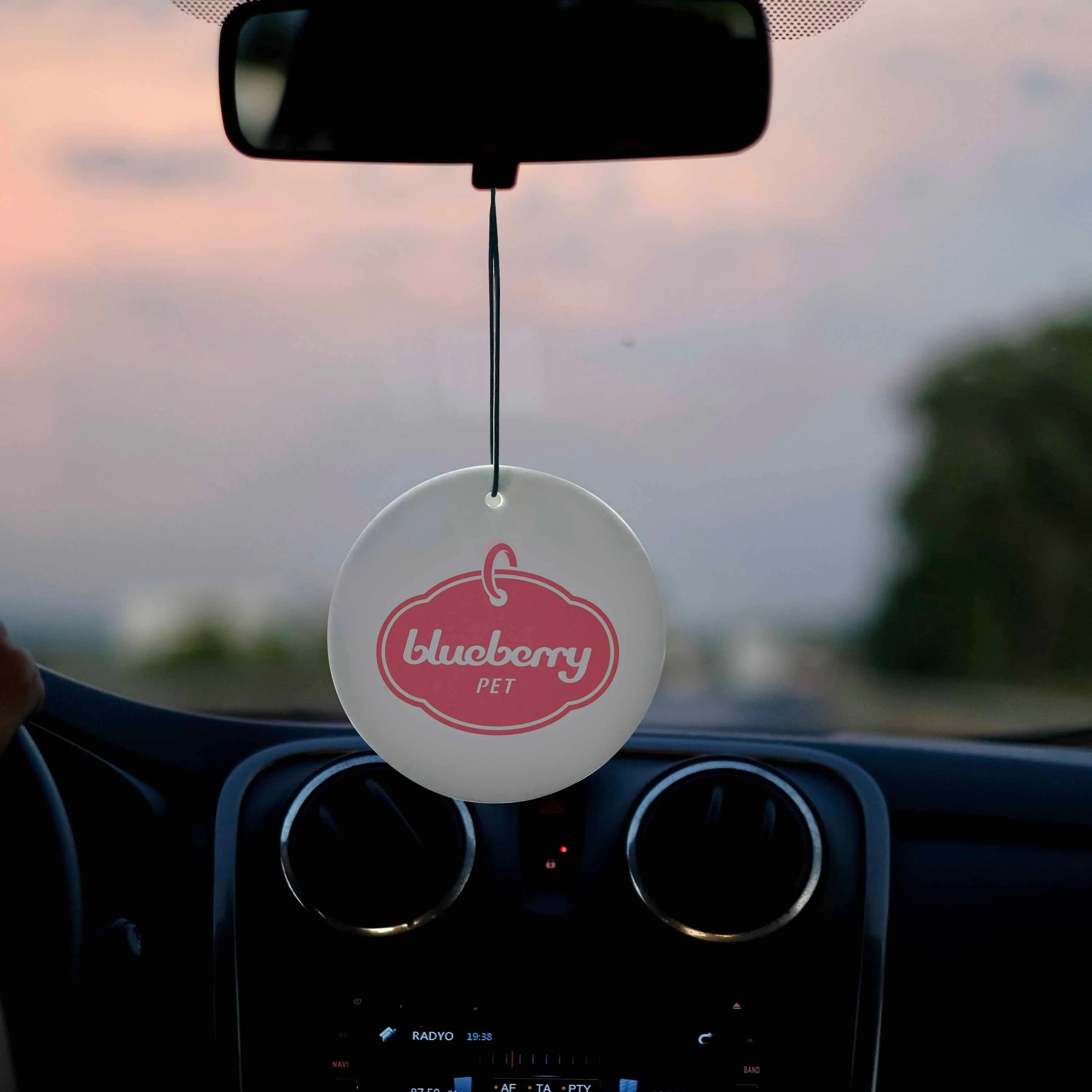 2 Pack Cherry Blossom Scented Hanging Air Fresheners for Pet Friendly Car, Office or Home