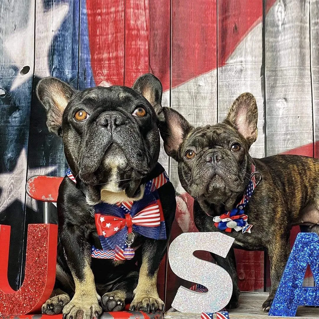 American Flag Collar Accessory Set