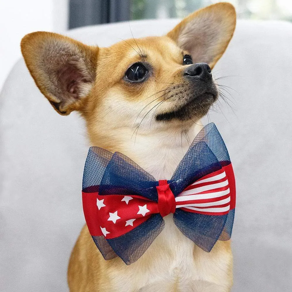 American Flag Collar Accessory Set