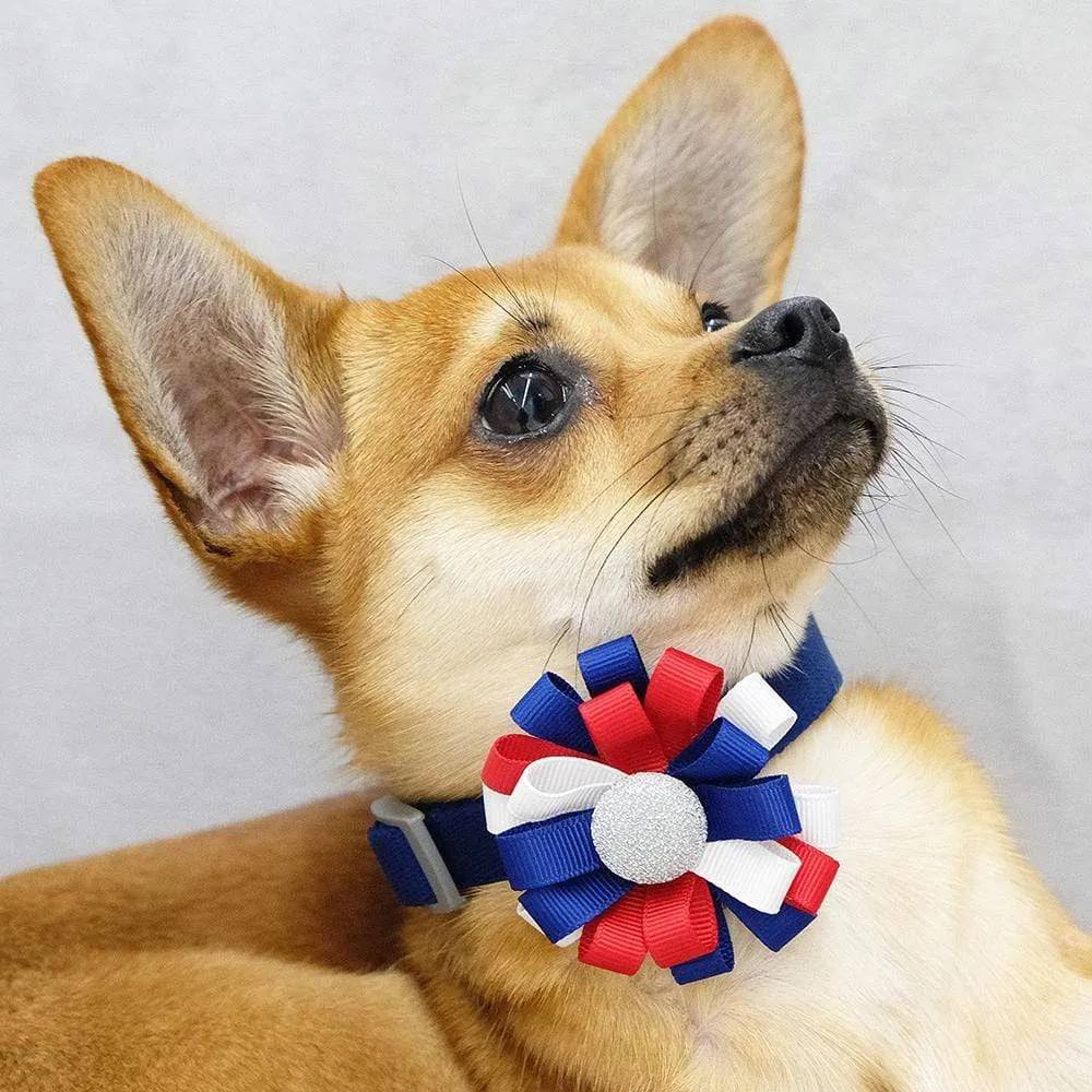 American Flag Collar Accessory Set