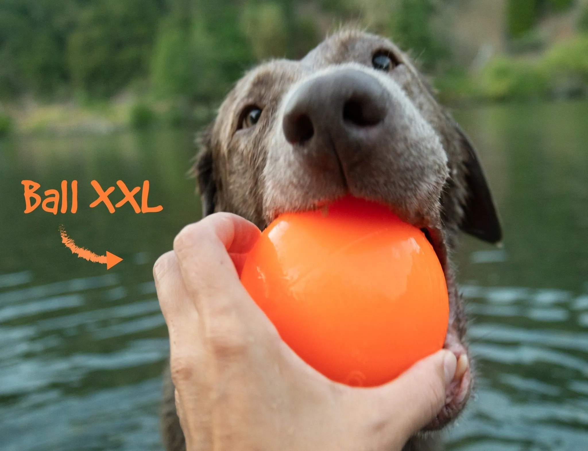 Ball XXL - Dogs 40 lbs plus - Ruff Dawg