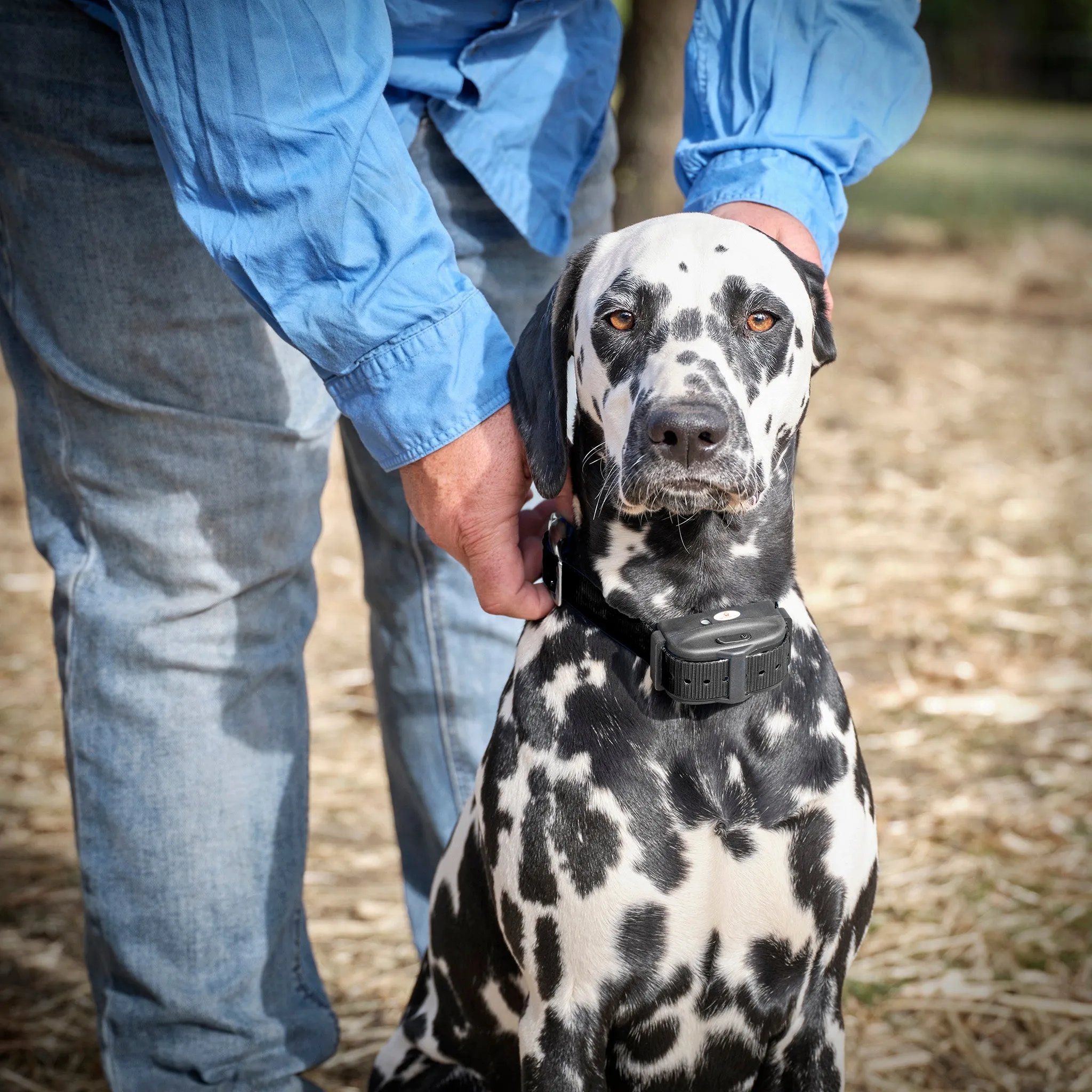 Deluxe Electric Dog Fence Waterproof, Rechargeable up to 3 Shock Collar Options - Heavy Duty Wire