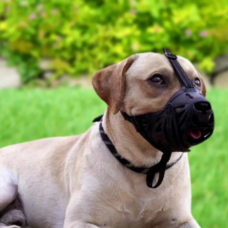 Dog Muzzle Breathable & Drink-Thru Design  for Medium, Large, XL, XXL Dogs