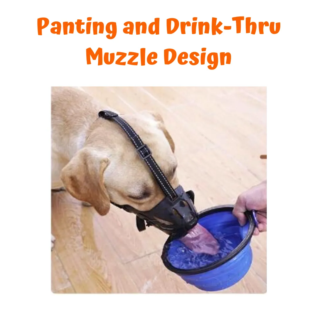 Dog Muzzle Breathable & Drink-Thru Design  for Medium, Large, XL, XXL Dogs