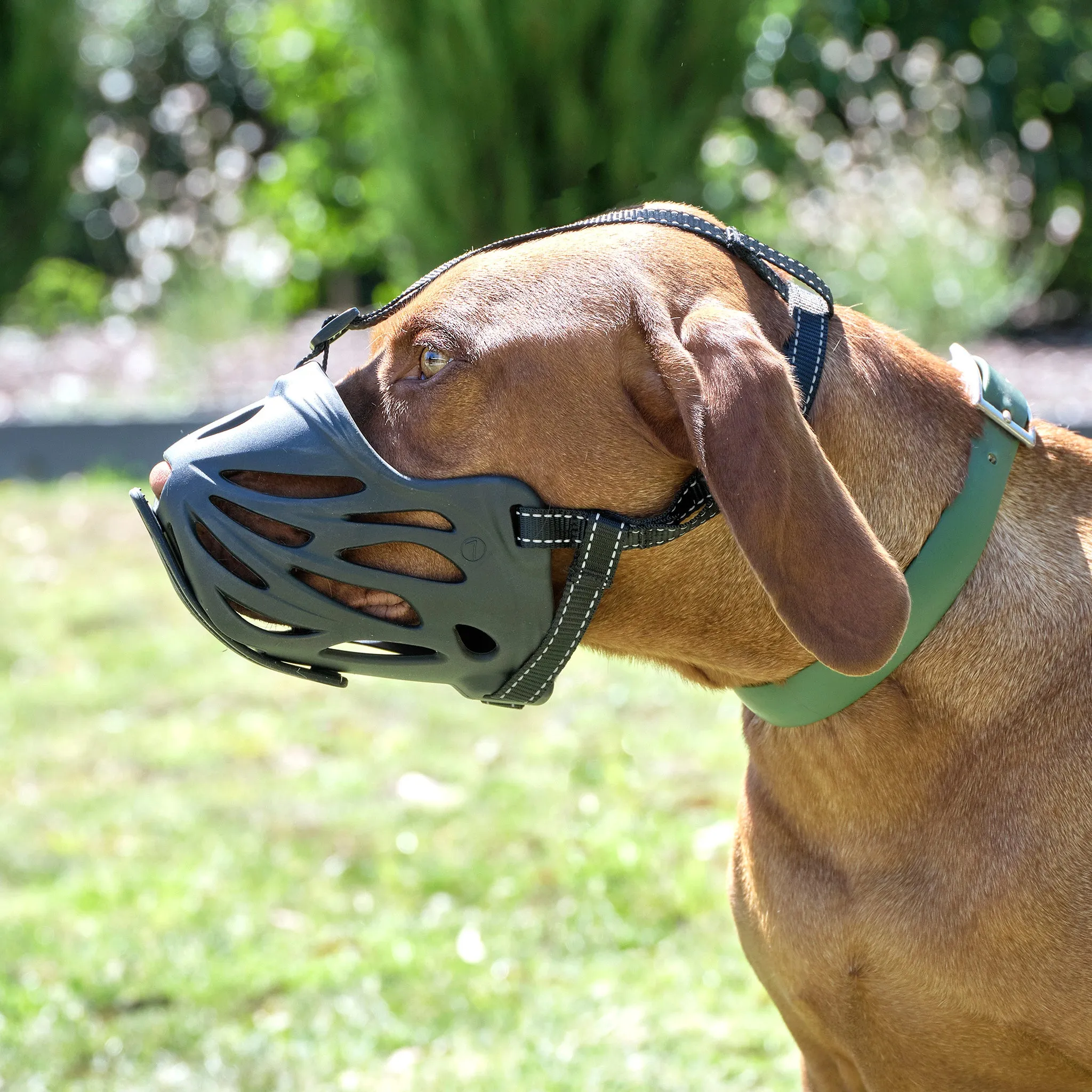 Dog Muzzle Breathable & Drink-Thru Design  for Medium, Large, XL, XXL Dogs