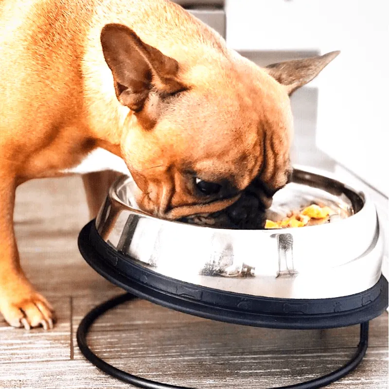 Enhanced Pet Bowl For Mastiff