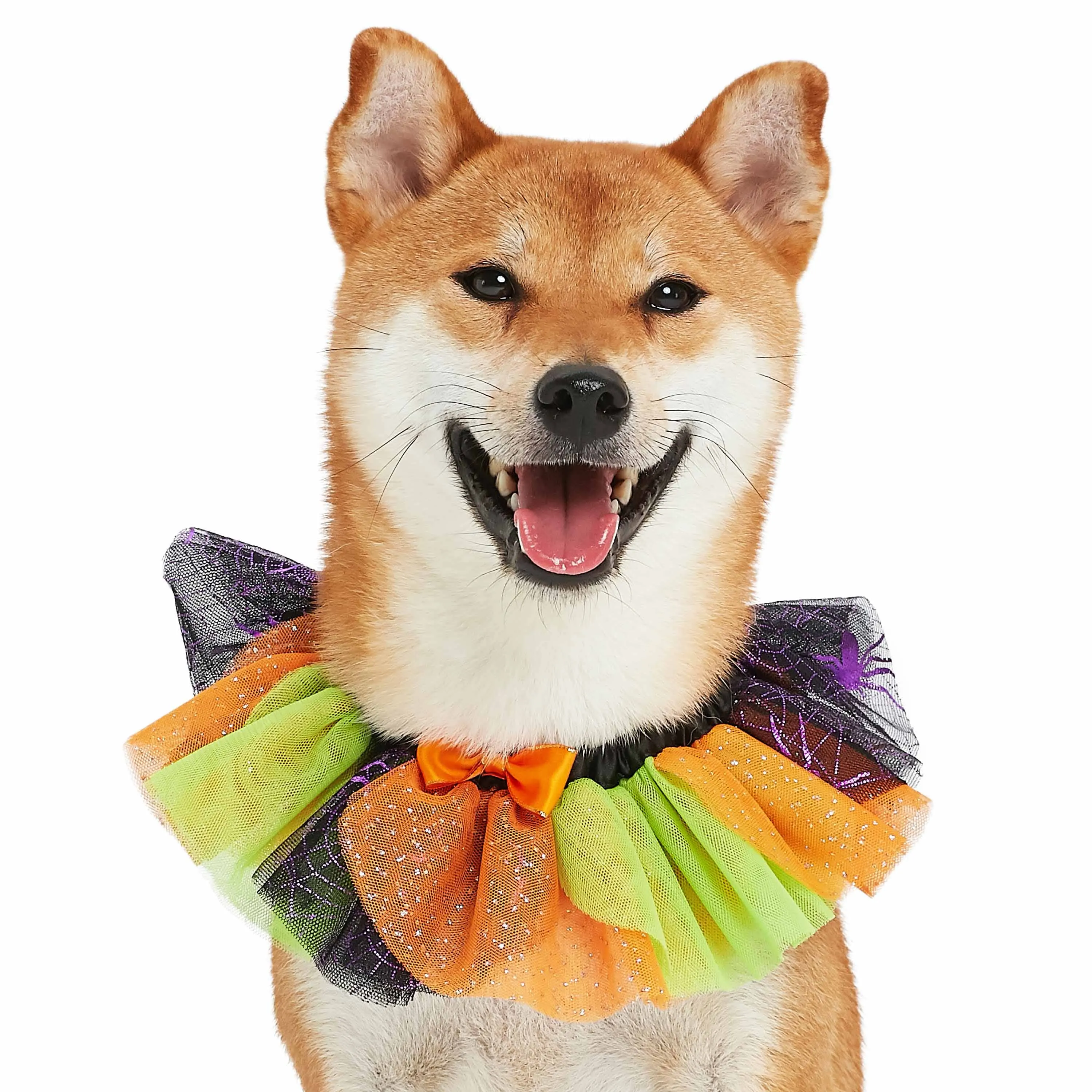 Halloween Thanksgiving Party Costume Dog Collar in Cool Tone