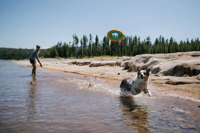 Hydro Plane Floating Throw Toy