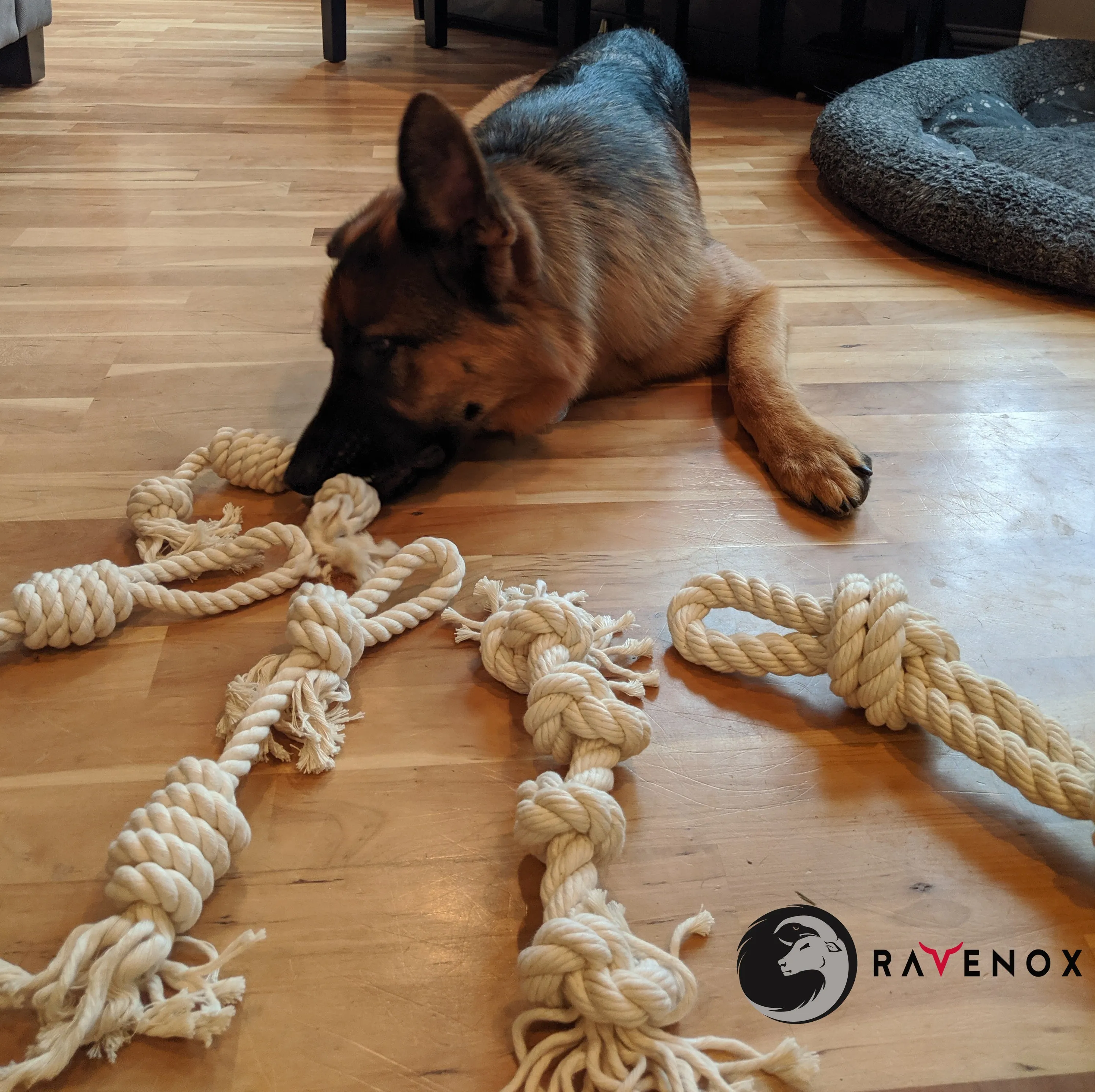 Knotted Cotton Rope Dog Chew Toys