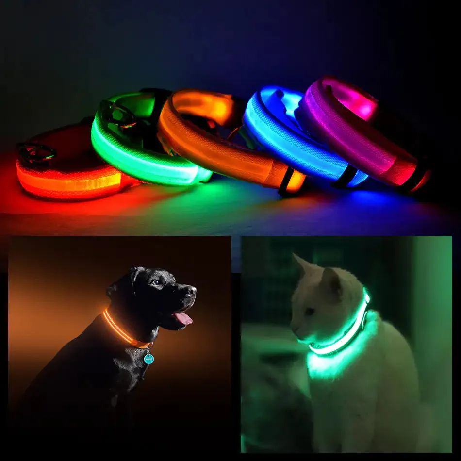 LED PET Safety Collar, Halo Style