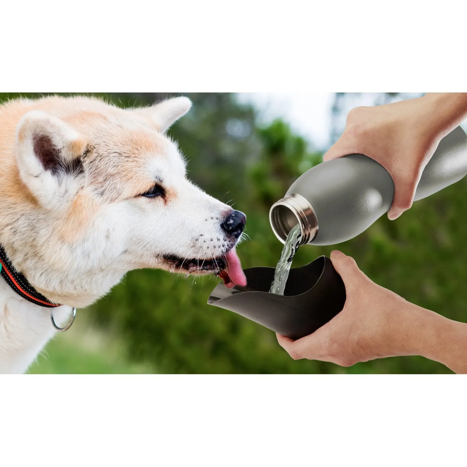 Mobile Dog Gear 25 Oz Water Bottle