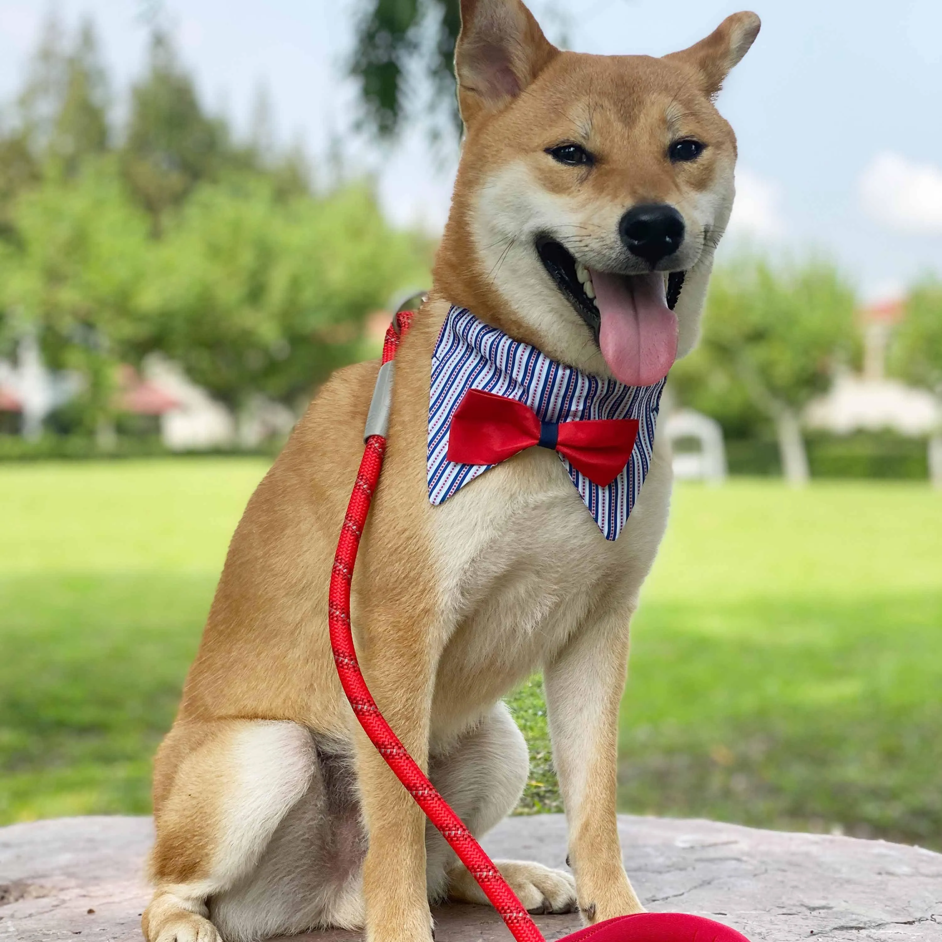 Nautical Dog Collars Anchors Vacation Beach Collar Bandana with Bowtie Summer Bon Voyage Collar for S M L Pets