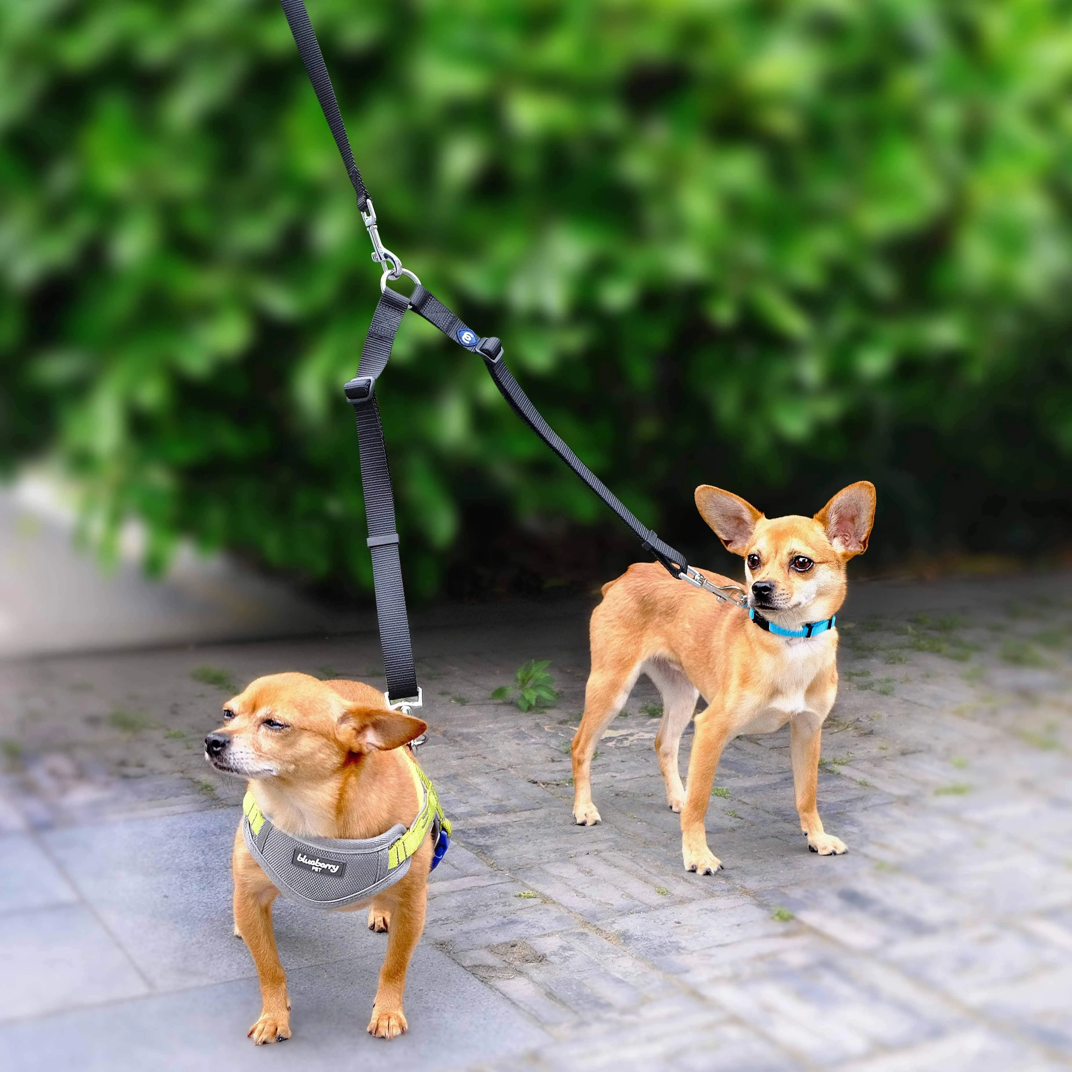 No Tangle Coupler Dog Leash