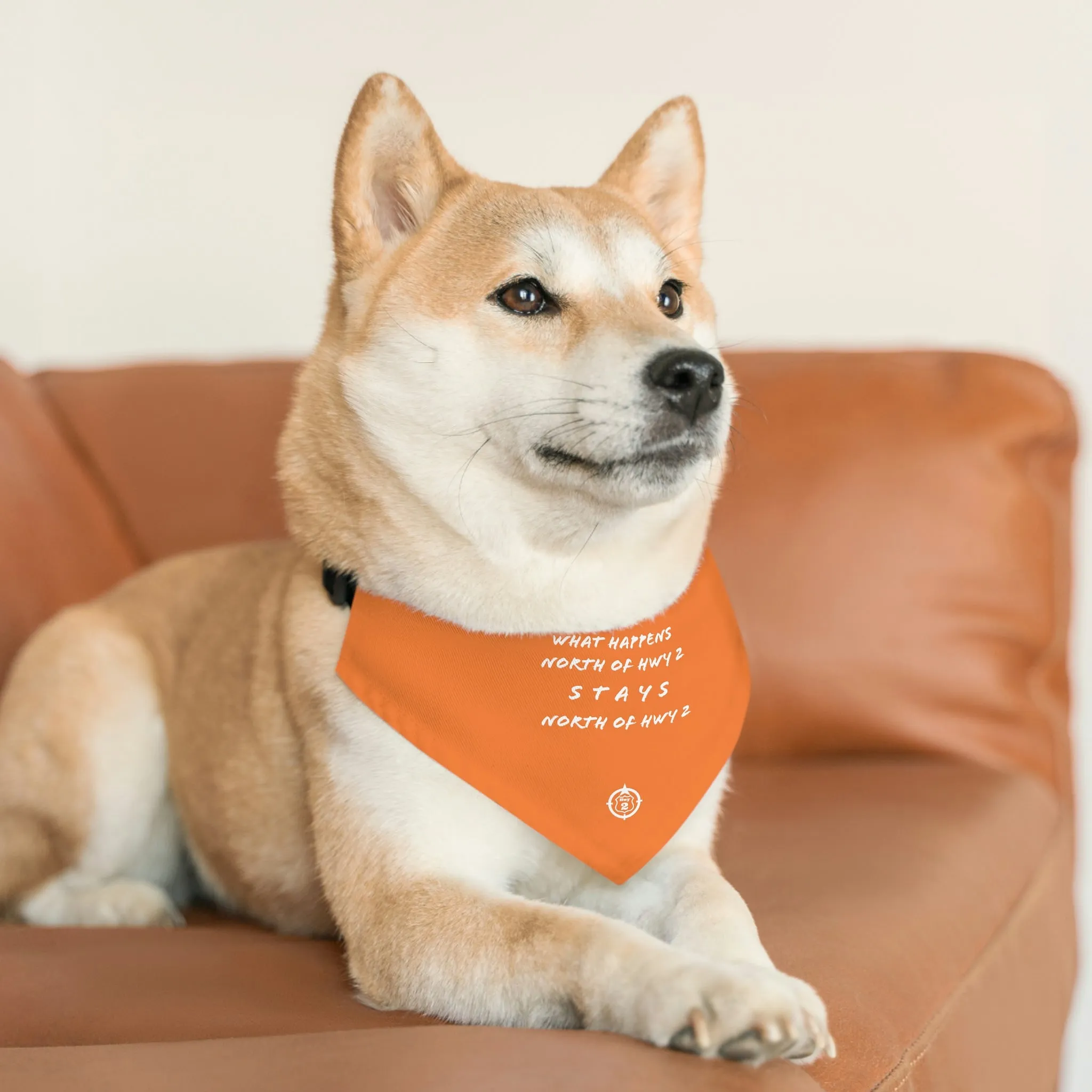 North of Hwy 2 - Pet Bandana Collar - Orange