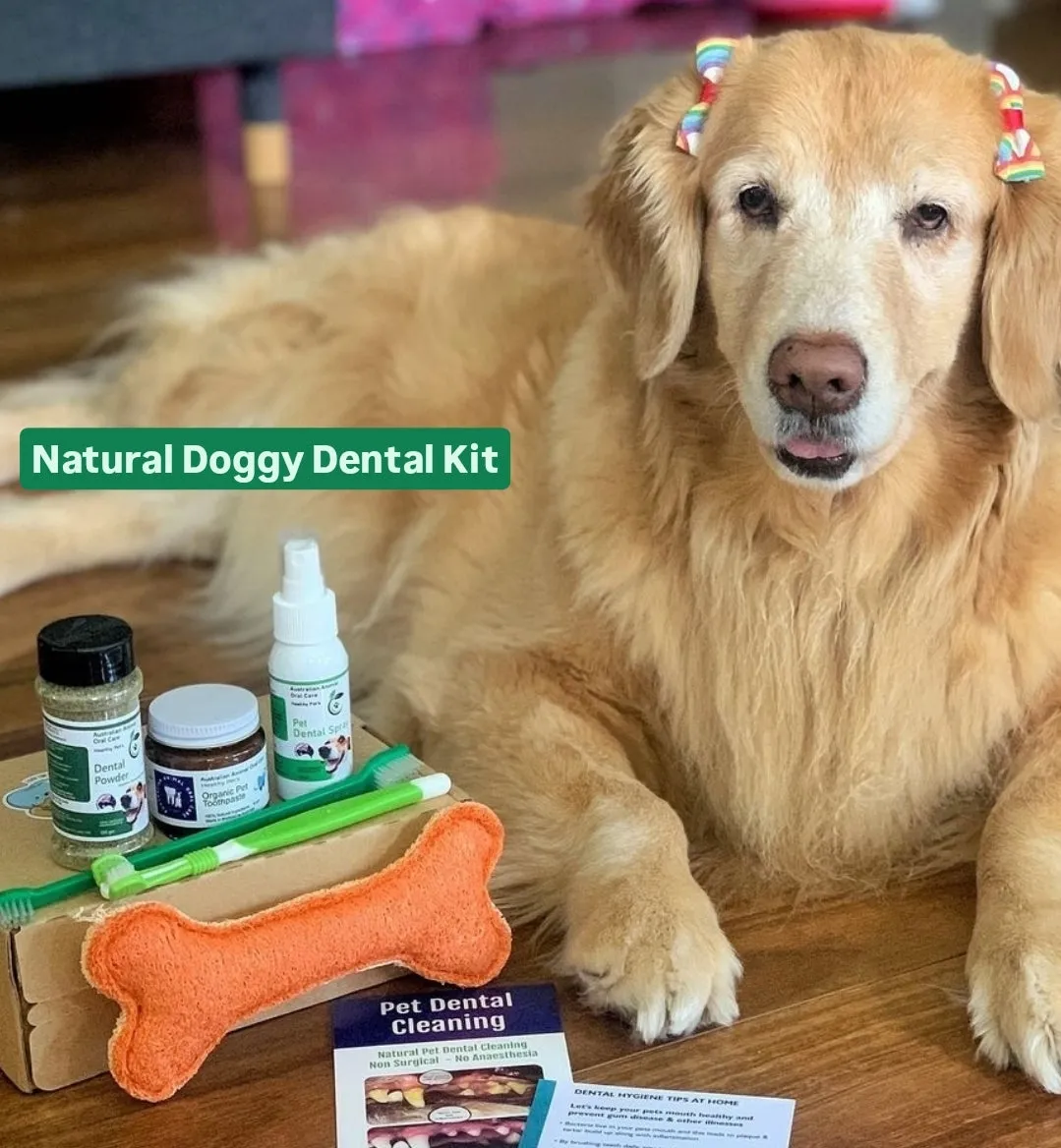 Pet Dental Kit