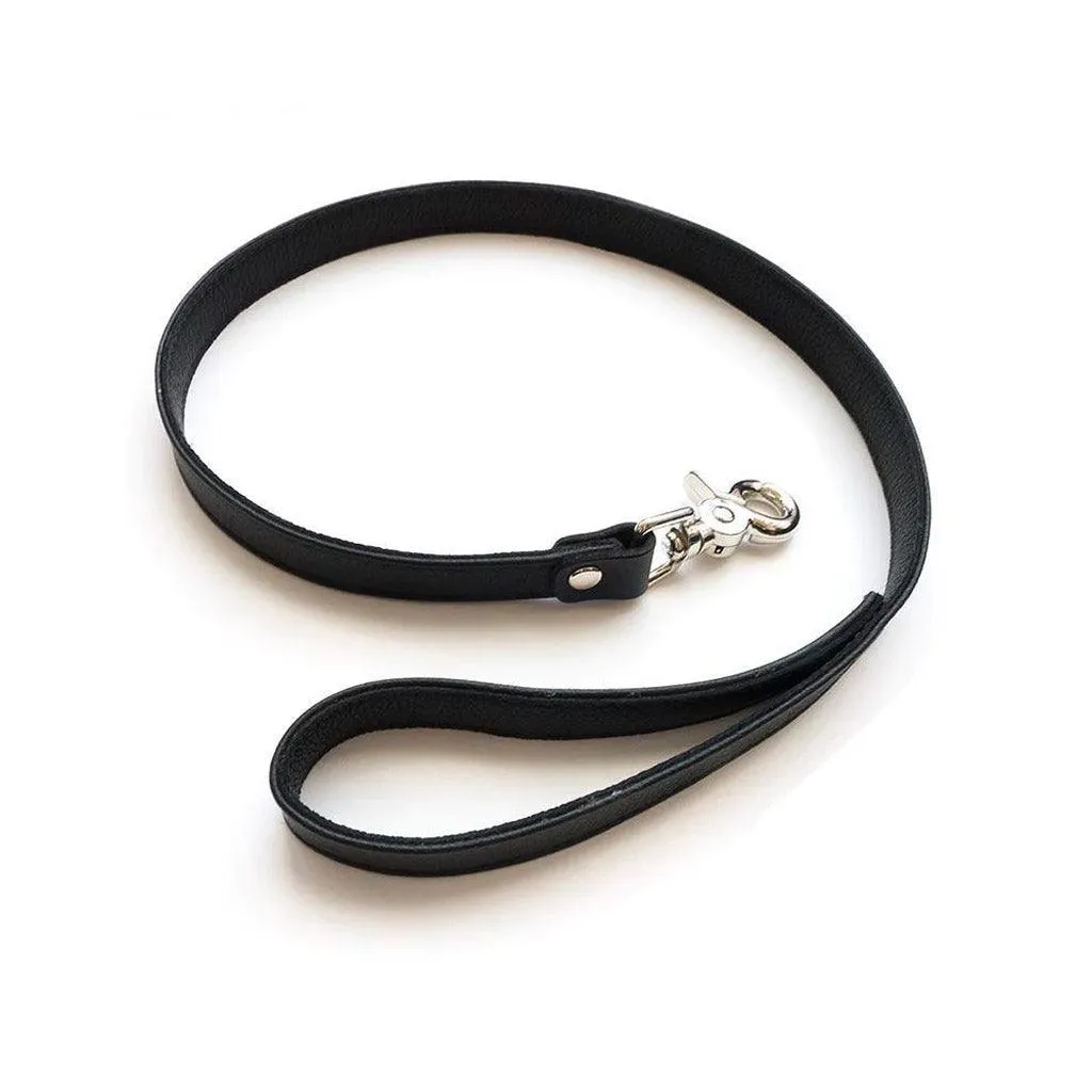 Premium Garment Leather Leash, 2.5'