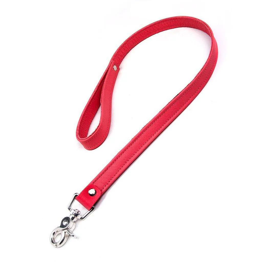 Premium Garment Leather Leash, 2.5'