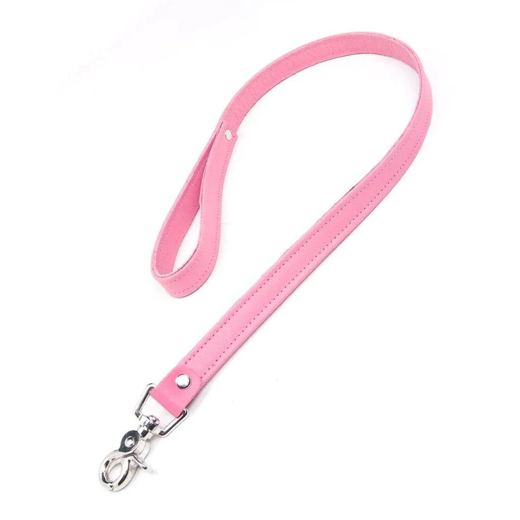 Premium Garment Leather Leash, 2.5'