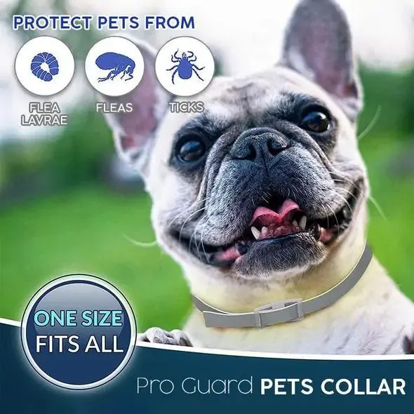 Pro Guard Flea and Tick Pet Collar