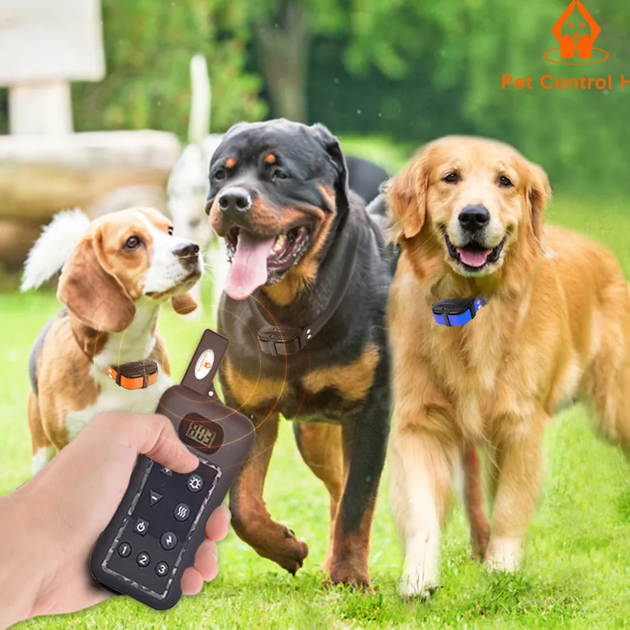 Remote Dog Training Shock Collar for Off Leash - 1.2km Range