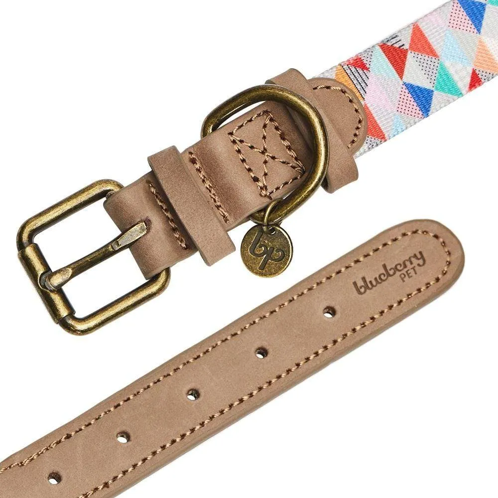 Shades of Rainbow Full Grain Leather & Polyester Webbing Dog Collar