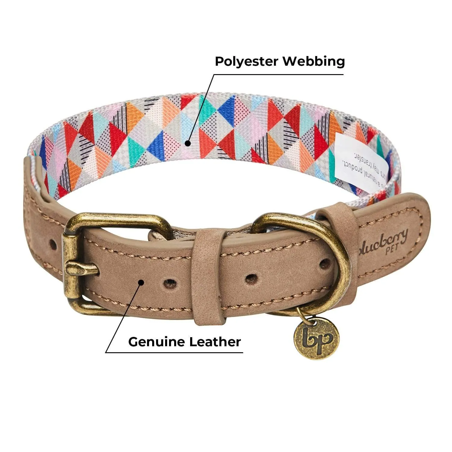 Shades of Rainbow Full Grain Leather & Polyester Webbing Dog Collar