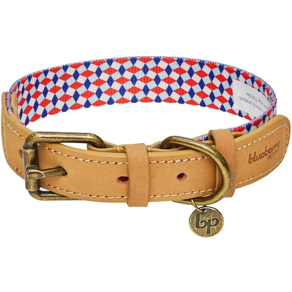 Shades of Rainbow Full Grain Leather & Polyester Webbing Dog Collar