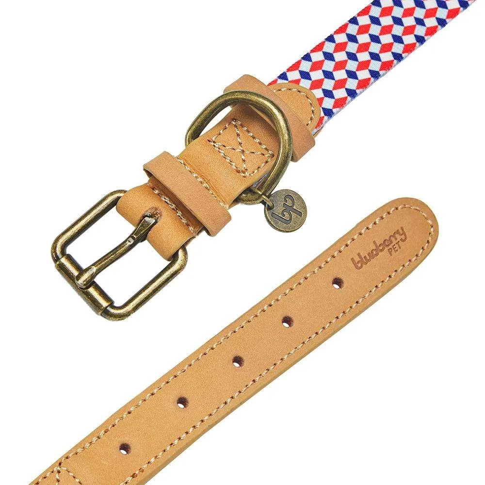 Shades of Rainbow Full Grain Leather & Polyester Webbing Dog Collar