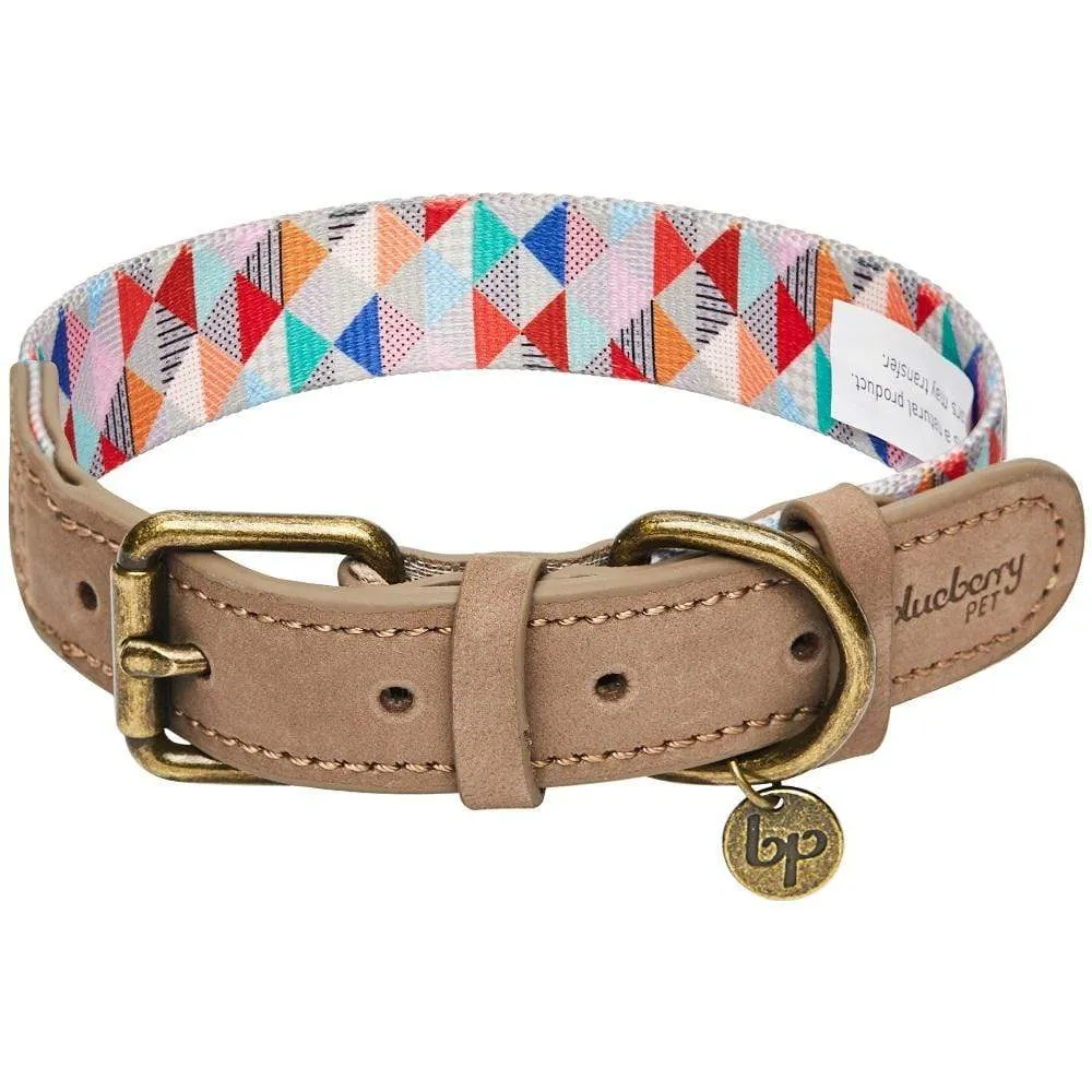 Shades of Rainbow Full Grain Leather & Polyester Webbing Dog Collar