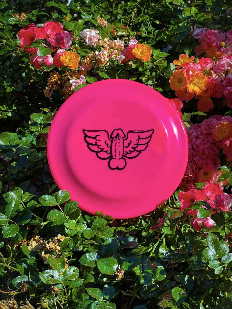 Tom of Finland Flying Cock Frisbee by Peachy Kings - HOT PINK