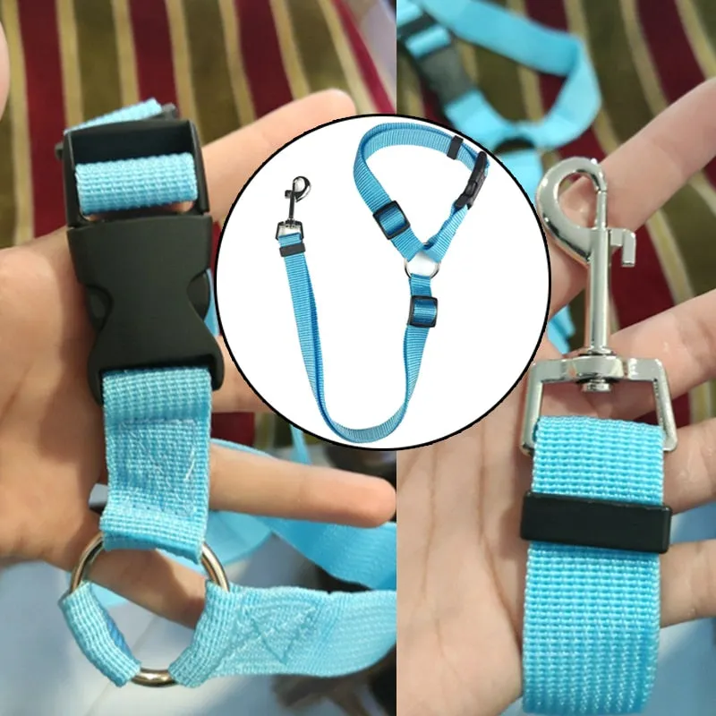 Two-in-one Pet Car Seatbelt and Leash