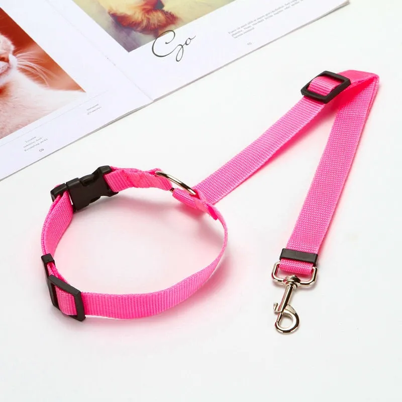 Two-in-one Pet Car Seatbelt and Leash