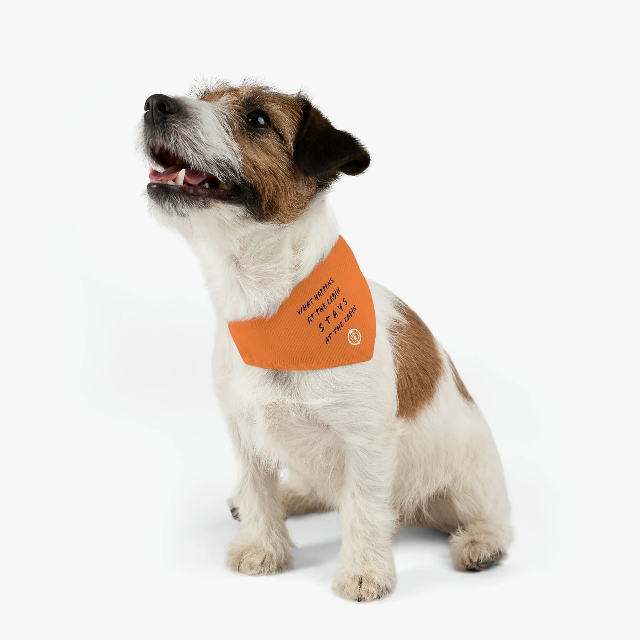 What Happens At The Cabin - Pet Bandana Collar - Orange