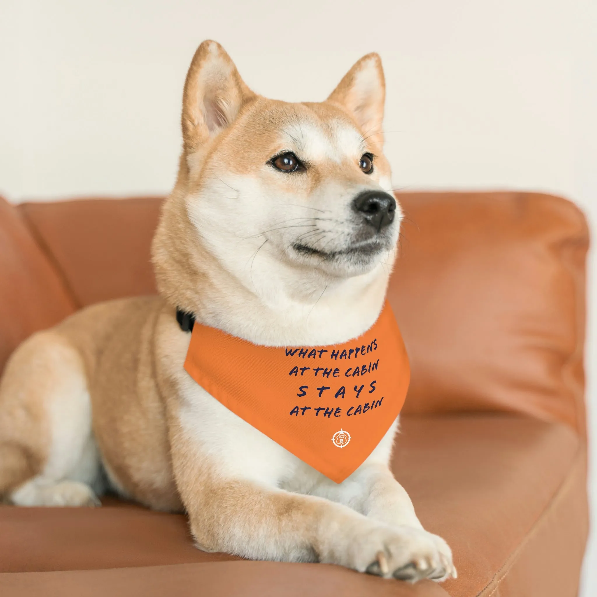 What Happens At The Cabin - Pet Bandana Collar - Orange